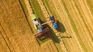 farming